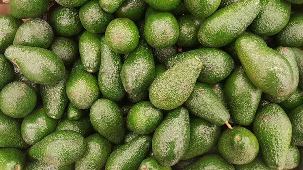 Aguacate 1